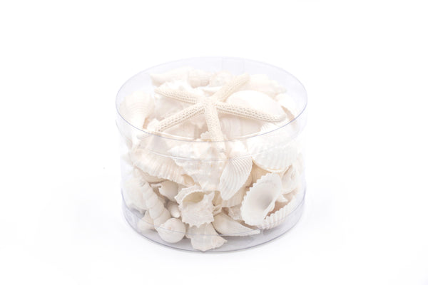 Premium Seashell Pack - White Whisper